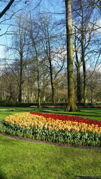 Альбом отзыва "Весна в Голландии в парке Keukenhof"