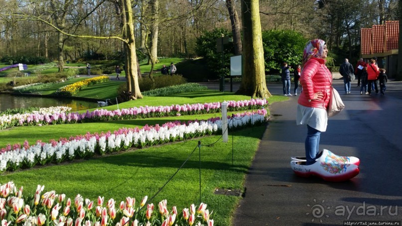 Альбом отзыва "Весна в Голландии в парке Keukenhof"