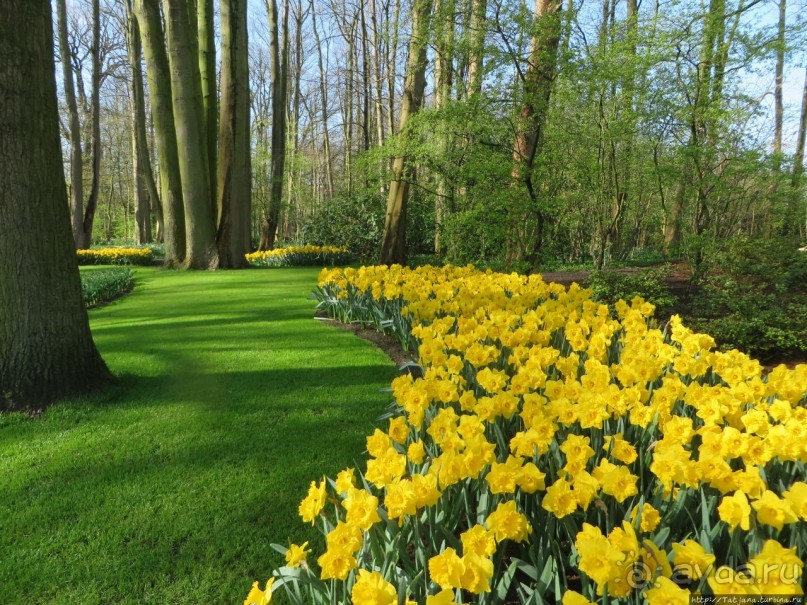 Альбом отзыва "Весна в Голландии в парке Keukenhof"