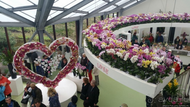 Альбом отзыва "Весна в Голландии в парке Keukenhof"