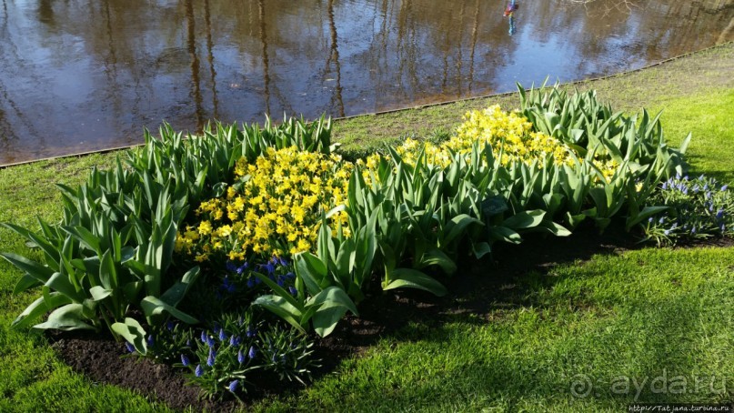 Альбом отзыва "Весна в Голландии в парке Keukenhof"