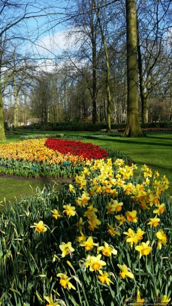 Альбом отзыва "Весна в Голландии в парке Keukenhof"