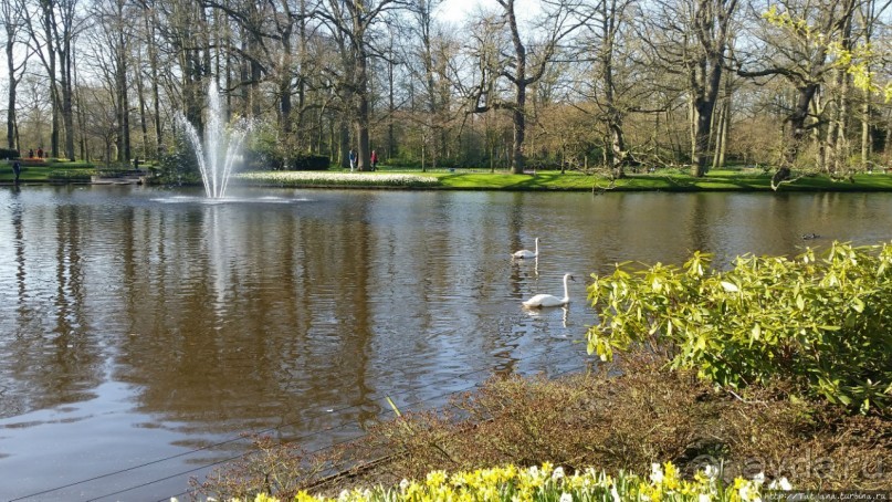 Альбом отзыва "Весна в Голландии в парке Keukenhof"