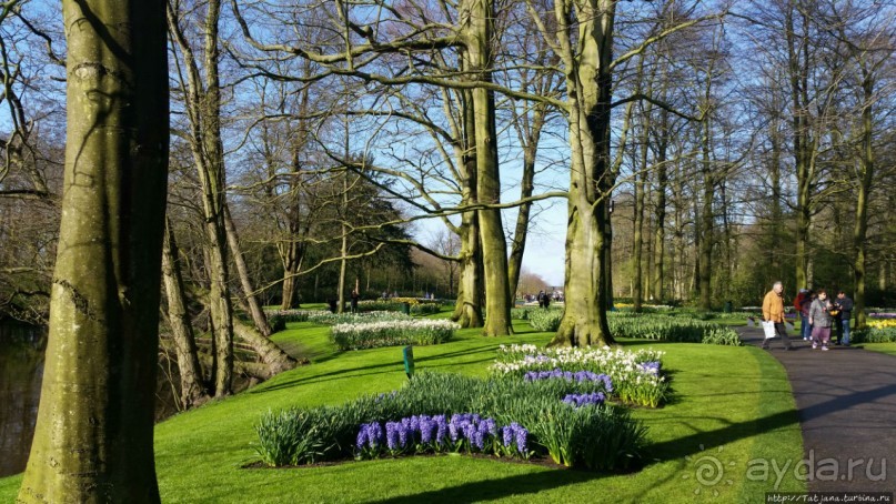 Альбом отзыва "Весна в Голландии в парке Keukenhof"