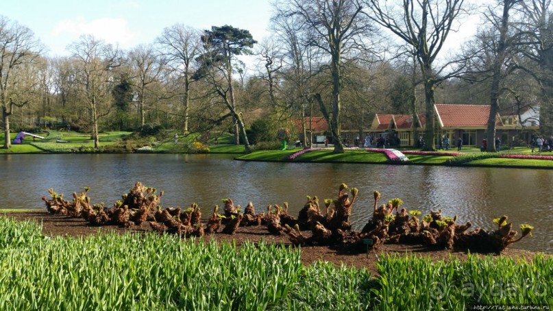 Альбом отзыва "Весна в Голландии в парке Keukenhof"