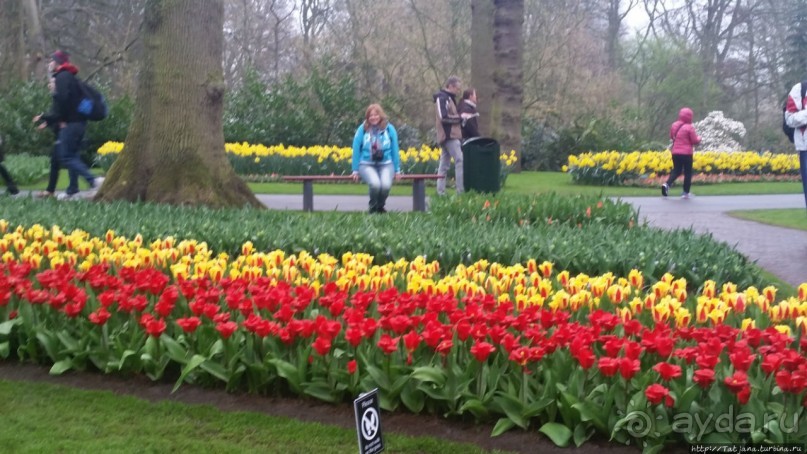 Альбом отзыва "Весна в Голландии в парке Keukenhof"