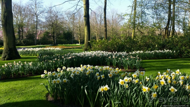 Альбом отзыва "Весна в Голландии в парке Keukenhof"