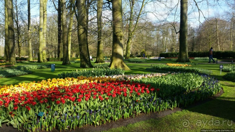 Альбом отзыва "Весна в Голландии в парке Keukenhof"