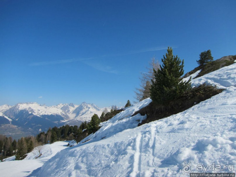 Альбом отзыва "Горнолыжный район катания Paradiski / Les Arcs"