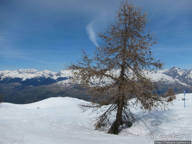 Альбом отзыва "Горнолыжный район катания Paradiski / Les Arcs"