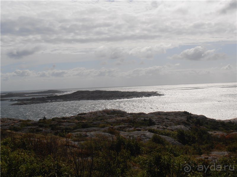 Альбом отзыва "Остров Marstrand"