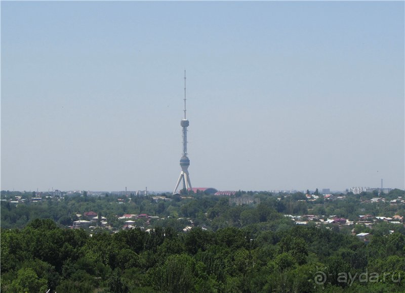 Альбом отзыва "Звезда Востока"