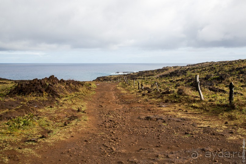 Альбом отзыва "Остров Пасхи - Easter Island (2/3)"