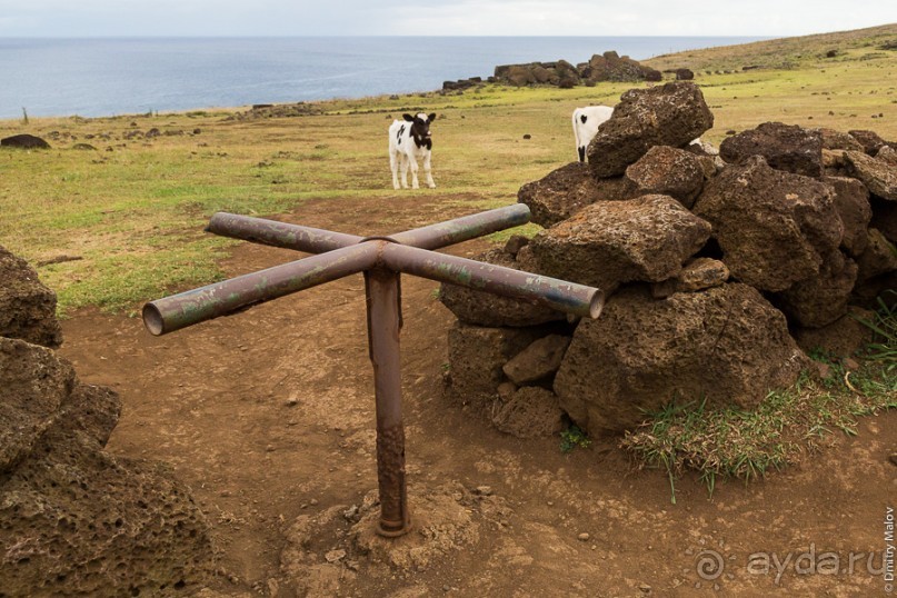 Альбом отзыва "Остров Пасхи - Easter Island (2/3)"