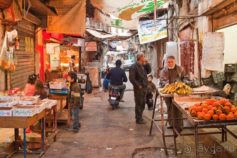 Альбом отзыва "Триполи, Ливан (Tripoli, Lebanon)"