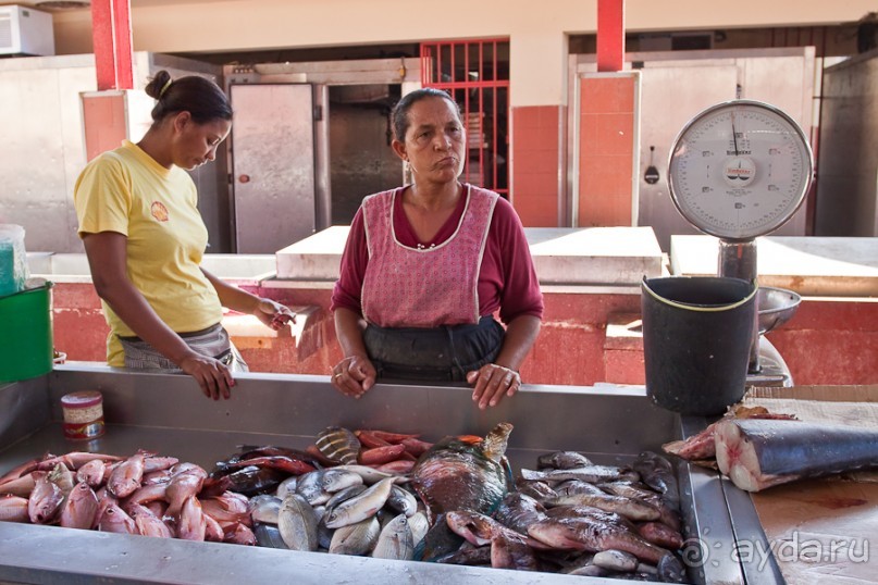 Альбом отзыва "Остров São Vicente, город Mindelo, Cape Verde (2/4)"