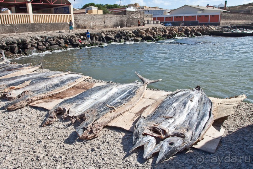 Альбом отзыва "Остров São Vicente, город Mindelo, Cape Verde (2/4)"