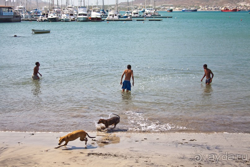 Альбом отзыва "Остров São Vicente, город Mindelo, Cape Verde (2/4)"