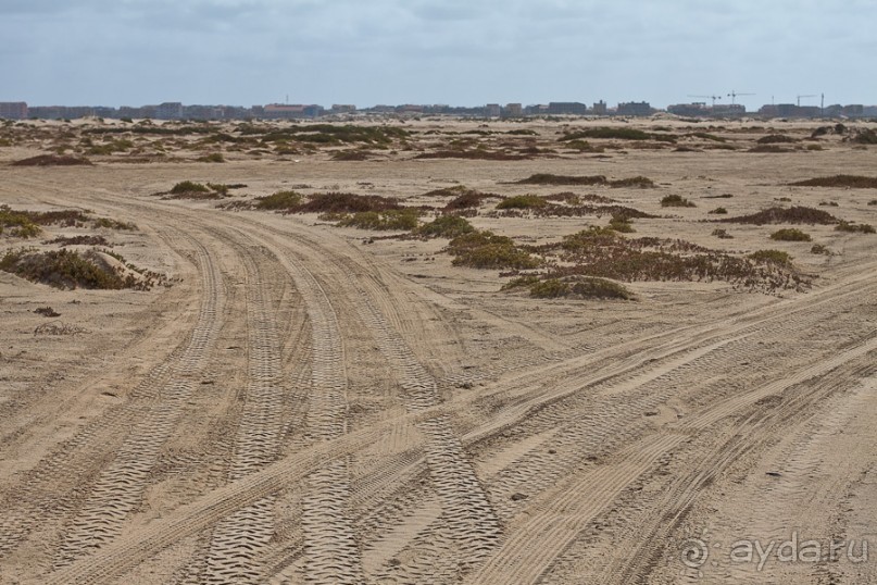 Альбом отзыва "Остров Sal, Cape Verde (4/4)"