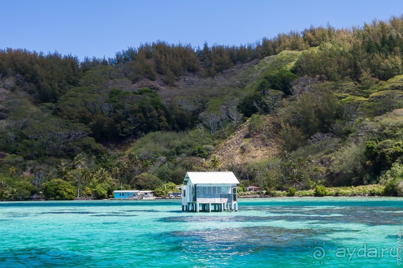 Альбом отзыва "Архипелаг Гамбье. Gambier Islands, French Polynesia"