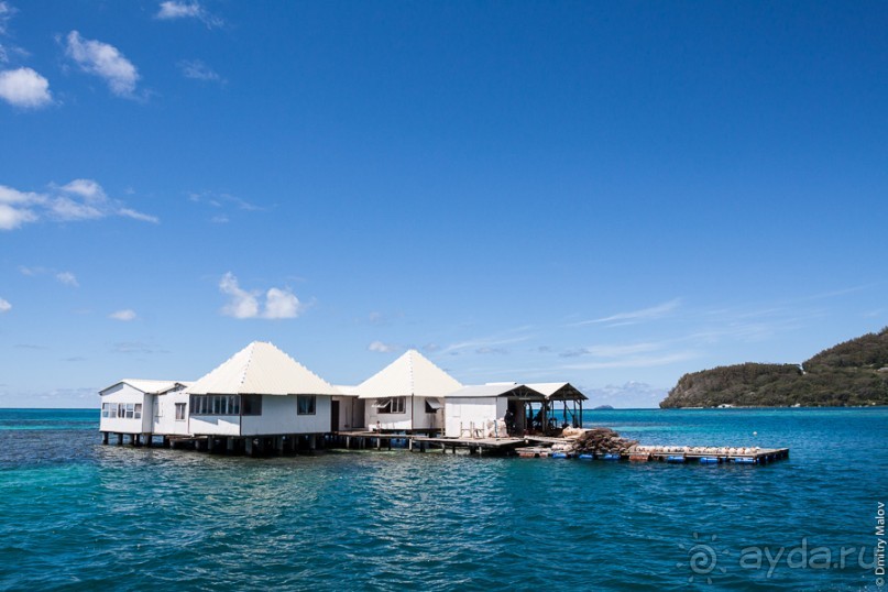 Альбом отзыва "Архипелаг Гамбье. Gambier Islands, French Polynesia"