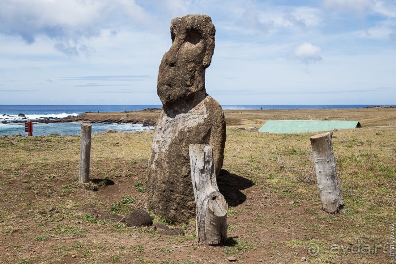 Альбом отзыва "Остров Пасхи - Easter Island (3/3)"