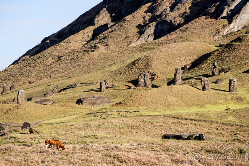 Альбом отзыва "Остров Пасхи - Easter Island (3/3)"