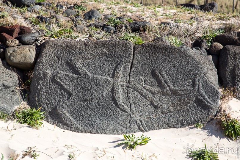 Альбом отзыва "Остров Пасхи - Easter Island (3/3)"