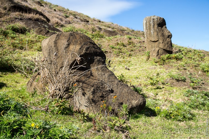 Альбом отзыва "Остров Пасхи - Easter Island (3/3)"