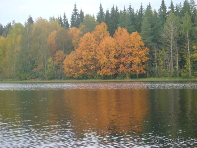 Осень в Финляндии