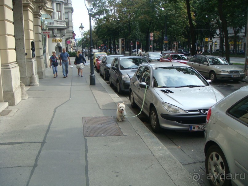 Альбом отзыва "Вена. Неделя в Имперской столице"