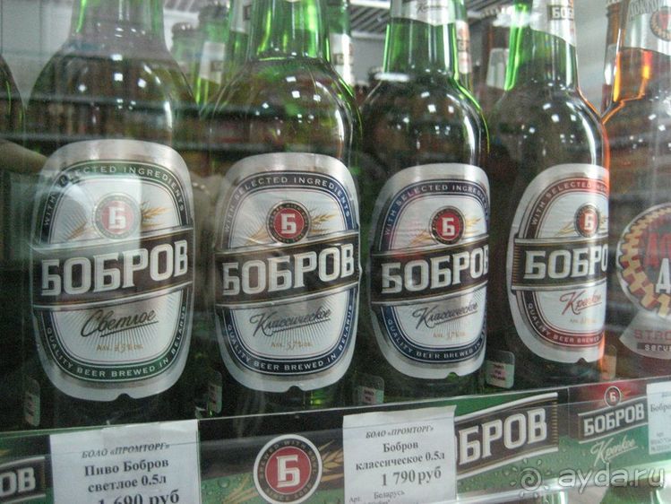 Альбом отзыва "Бобруйск - осень 2009"