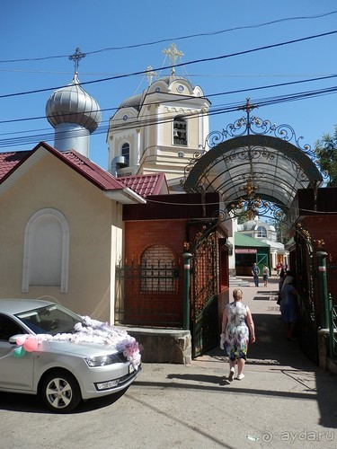 Альбом отзыва "Ялта."