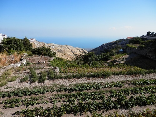 Альбом отзыва "Monte Sant Angelo - место явления архангела Михаила"