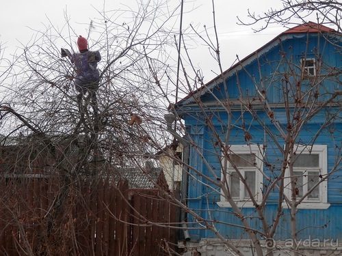 Альбом отзыва "Суздаль, день второй"