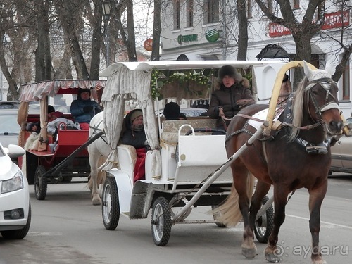 Альбом отзыва "Суздаль, день первый"