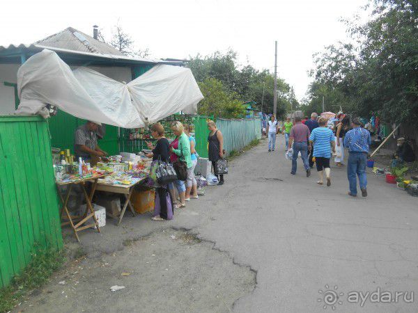 Альбом отзыва "Радомышль, Житомирской области – «радуйся, мысль!»"