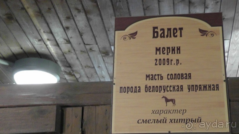 Альбом отзыва " Москва - всё в этом слове! Парк Коломенское."