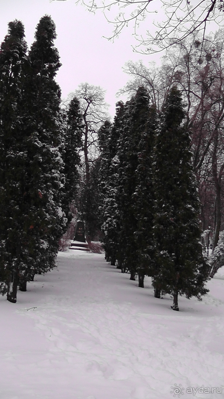 Альбом отзыва "г.Киев, Городской парк – переплетение любви, спорта и музыки."