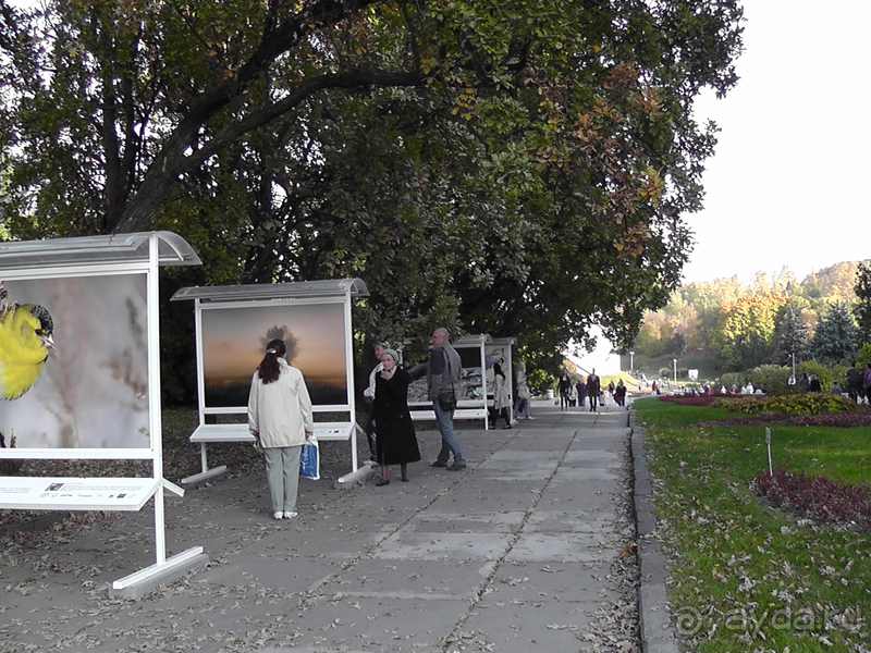 Альбом отзыва "Киев, Ботанический сад. Весна-лето, осень-зима, а в середине Вечность! Осень."