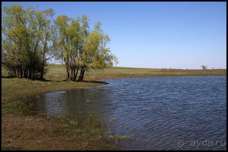 Альбом отзыва "Майские степи 2010. Экспедиция в Калмыкию. ч.1 Волгоград."