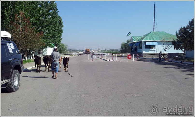 Альбом отзыва "Узбекистан 2014. Непростая страна-квест. Часть 2."