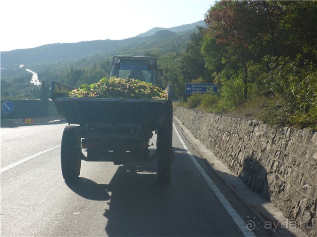 Альбом отзыва "Путешествию в Украину из Волгограда"