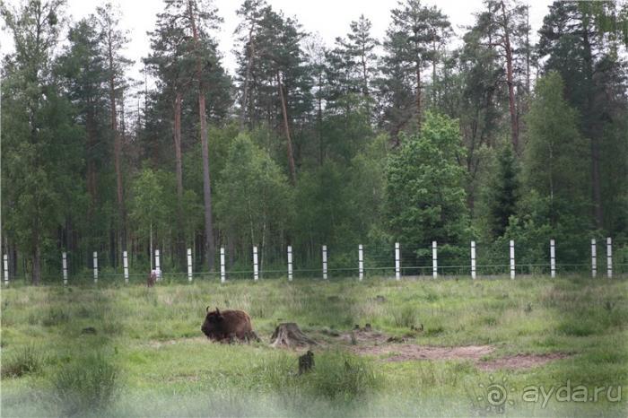 Альбом отзыва "Волгоград - Беларусь - Волгоград"