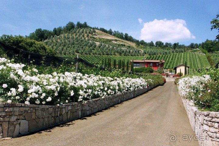 Гастрономический тур AGRITURISMO