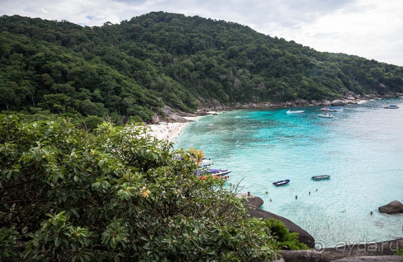 Альбом отзыва "SIMILAN ISLANDS (СИМИЛАНСКИЕ ОСТРОВА)"