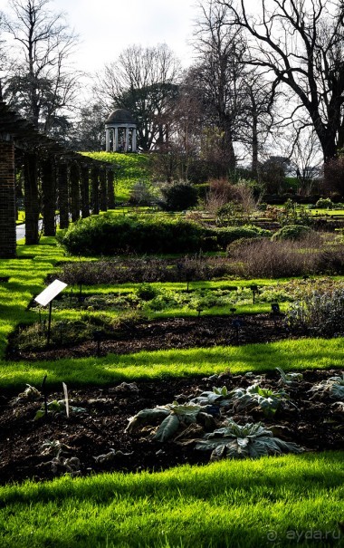 Альбом отзыва "ПРОГУЛКА ВДОЛЬ ТЕМЗЫ ВЕЧЕРОМ И KEW GARDENS В КОНЦЕ ЯНВАРЯ"