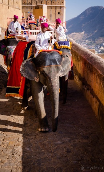 Альбом отзыва "AMBER FORT В ДЖАЙПУРЕ"