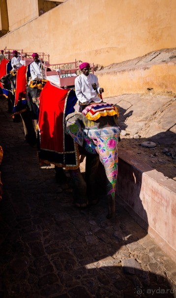 Альбом отзыва "AMBER FORT В ДЖАЙПУРЕ"