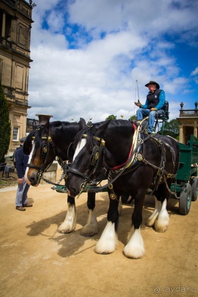 Альбом отзыва "CHATSWORTH HOUSE - ТЕМ, КТО ЛЮБИТ ГЕОМЕТРИЮ"